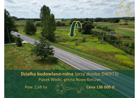 Działka na sprzedaż - Piasek Wielki, Nowy Korczyn, Buski, 26 800 m², 136 000 PLN, NET-73