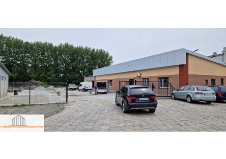 Lokal do wynajęcia - Dzierżoniów, Dzierżoniowski, 240 m², 8000 PLN, NET-1/15259/OHW