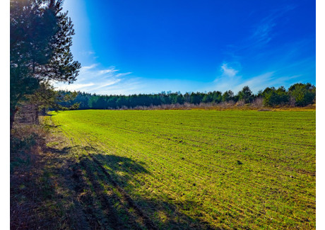 Działka na sprzedaż - Pogodna Bartoszówka, Żabia Wola, Grodziski, 1661 m², 235 000 PLN, NET-621986