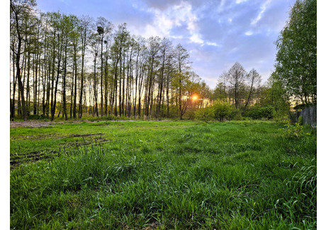 Działka na sprzedaż - Wiesława Zielona Góra, Andrespol (Gm.), Łódzki Wschodni (Pow.), 4200 m², 780 000 PLN, NET-6