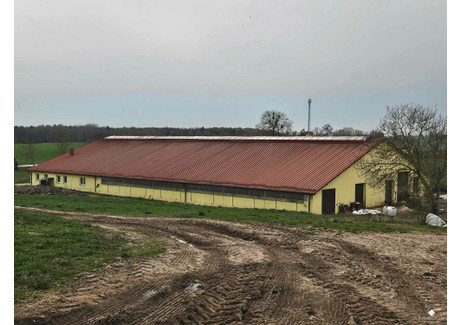 Dom na sprzedaż - Labuszewo, Biskupiec, Olsztyński, 150 m², 12 000 000 PLN, NET-451