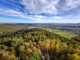 Leśne na sprzedaż - Iwkowa, Brzeski, 20 600 m², 120 000 PLN, NET-554358