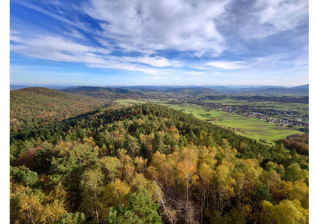 Działka na sprzedaż - Iwkowa, Brzeski, 20 600 m², 100 000 PLN, NET-554358