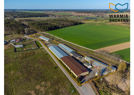 Magazyn, hala na sprzedaż - Leśna Nidzica, Nidzicki, 7455 m², 4 750 000 PLN, NET-1/9981/OHS