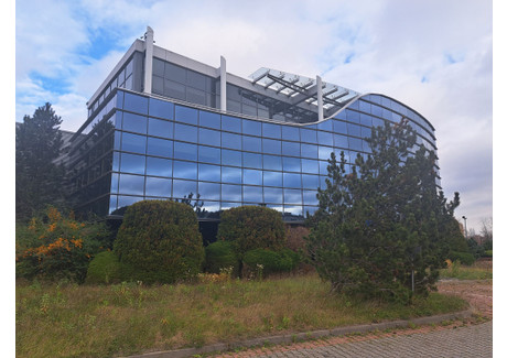 Magazyn, hala na sprzedaż - gen. L. Okulickiego Piaseczno, Piaseczno (gm.), Piaseczyński (pow.), 17 520 m², 15 000 000 Euro (64 800 000 PLN), NET-108