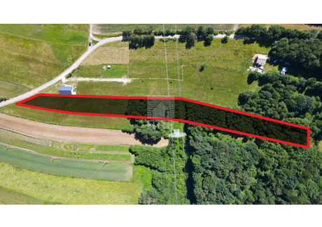 Działka na sprzedaż - Biesiadki, Gnojnik, Brzeski, 6800 m², 119 000 PLN, NET-385