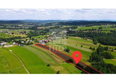 Działka na sprzedaż - Lipnica Dolna, Lipnica Murowana, Bocheński, 9900 m², 129 000 PLN, NET-393