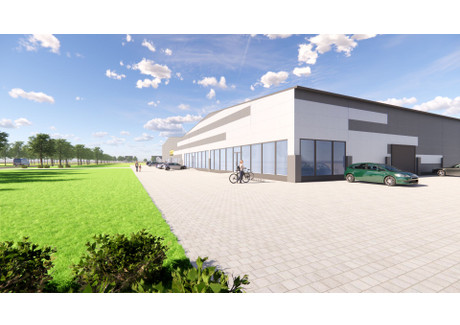 Lokal do wynajęcia - Koniawska Gorzów Wielkopolski, 290 m², 11 300 PLN, NET-39