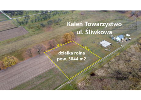 Działka na sprzedaż - Śliwkowa Kaleń-Towarzystwo, Żabia Wola, Grodziski, 3044 m², 360 000 PLN, NET-2163/1807/OGS