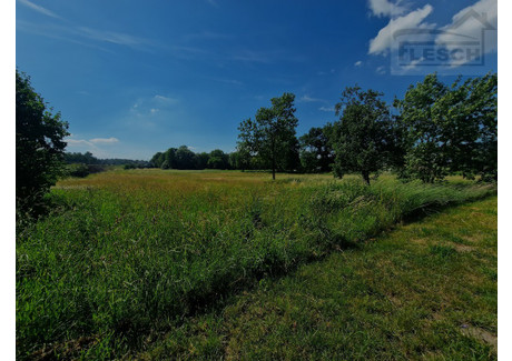 Działka na sprzedaż - Walendów, Nadarzyn, Pruszkowski, 5500 m², 1 650 000 PLN, NET-2056/1807/OGS