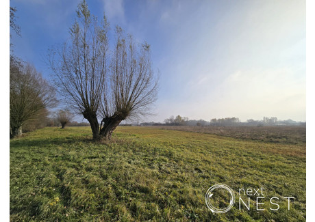 Działka na sprzedaż - Wilczkowice Dolne, Magnuszew, Kozienicki, 8000 m², 259 000 PLN, NET-403046