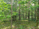 Leśne na sprzedaż - Wilkowyja, Garwolin, Garwoliński, 69 100 m², 890 000 PLN, NET-753
