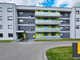 Mieszkanie do wynajęcia - Starczanowo Nekla, Wrzesiński, 33,5 m², 1700 PLN, NET-1937
