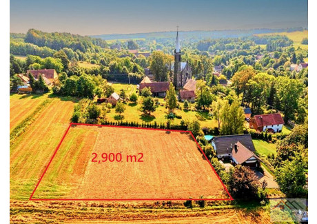 Działka na sprzedaż - Radoniow, Lubomierz, Lwowecki, 2900 m², 290 000 PLN, NET-56/NRD/DZS-150512