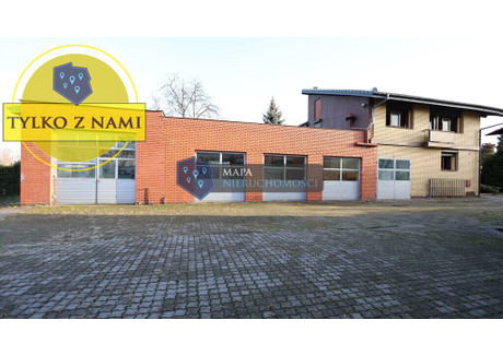 Lokal na sprzedaż - Włocławek, 439,17 m², 1 300 000 PLN, NET-3/13609/OOS