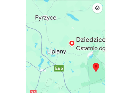 Dom na sprzedaż - Dziedzice, Barlinek, Myśliborski, 100 m², 530 000 PLN, NET-DNW-DS-434