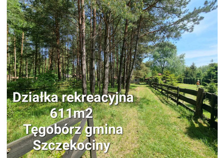 Działka na sprzedaż - Tęgobórz, Szczekociny, Zawierciański, 611 m², 170 000 PLN, NET-ZG908287