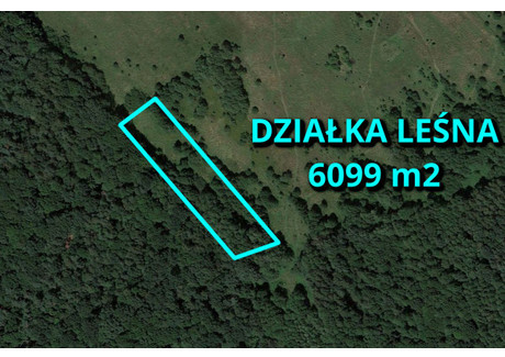 Działka na sprzedaż - Kamienica Polska, Częstochowski, 6099 m², 39 000 PLN, NET-ZG474938