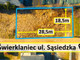 Działka na sprzedaż - Świerklaniec, Tarnogórski, 533 m², 154 570 PLN, NET-ZG738345