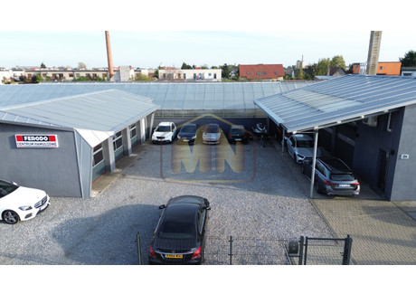 Lokal na sprzedaż - Leszno, 850 m², 1 799 000 PLN, NET-603398