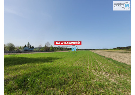 Działka na sprzedaż - Zdanowice, Nagłowice, Jędrzejowski, 25 249 m², 99 000 PLN, NET-TWJ-GS-1869-4