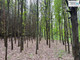 Leśne na sprzedaż - Trzciniec, Nagłowice, Jędrzejowski, 20 000 m², 100 000 PLN, NET-TWJ-GS-1921-1