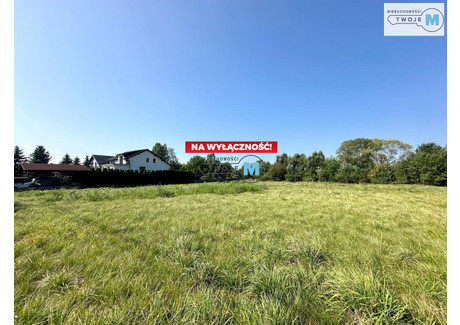 Działka na sprzedaż - Bieliny Kapitulne, Bieliny, Kielecki, 1792 m², 134 400 PLN, NET-TWJ-GS-2043-5