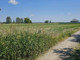 Rolny na sprzedaż - Ogrodowa Leszno, Leszno (gm.), Warszawski Zachodni (pow.), 950 m², 175 000 PLN, NET-80/7365/OGS