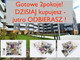 Mieszkanie na sprzedaż - Sielec, Sosnowiec, 39,16 m², 313 253 PLN, NET-2536/12809/OMS