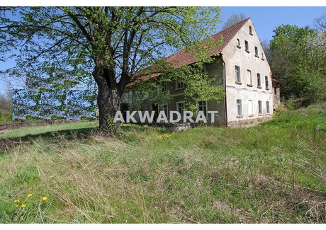 Dom na sprzedaż - Stare Bogaczowice, Wałbrzyski, 750 m², 349 000 PLN, NET-AKW-DS-344