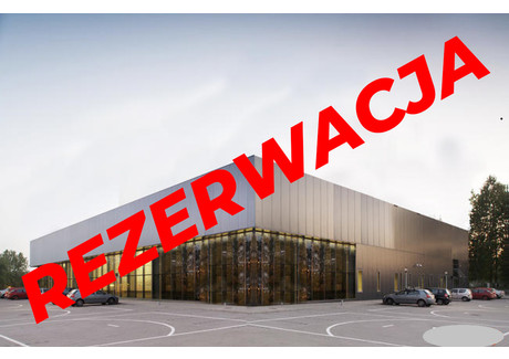 Działka na sprzedaż - Głogowska Chocianów, Chocianów (gm.), Polkowicki (pow.), 5991 m², 800 000 PLN, NET-9