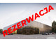 Działka na sprzedaż - Głogowska Chocianów, Chocianów (gm.), Polkowicki (pow.), 5991 m², 800 000 PLN, NET-9