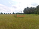 Rolny na sprzedaż - Strzyże, Mszczonów, Żyrardowski, 27 000 m², 399 000 PLN, NET-RES248325