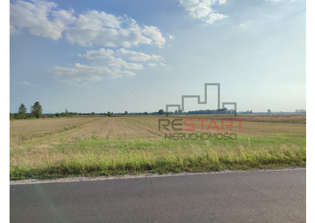 Działka na sprzedaż - Żuków, Grodzisk Mazowiecki, Grodziski, 12 000 m², 480 000 PLN, NET-RES790883