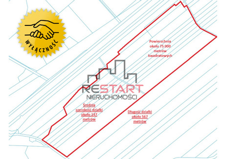 Działka na sprzedaż - Bliska Siestrzeń, Żabia Wola, Grodziski, 75 000 m², 16 500 000 PLN, NET-835815