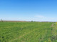 Rolny na sprzedaż - Kolonia - Natalin, 6028 m², 476 000 PLN, NET-46/EMN/DZS-406