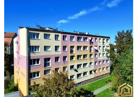 Mieszkanie do wynajęcia - Stara Lubań, Lubański (Pow.), 45,5 m², 1900 PLN, NET-42