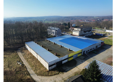 Magazyn, hala do wynajęcia - Jeleniogórska Lubań, Lubański (Pow.), 648 m², 5000 PLN, NET-2/10700/OHW