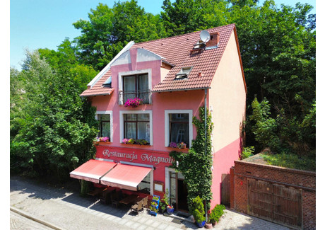 Lokal gastronomiczny na sprzedaż - Daszyńskiego Zgorzelec, Zgorzelecki (Pow.), 246 m², 2 350 000 PLN, NET-28/10700/OLS