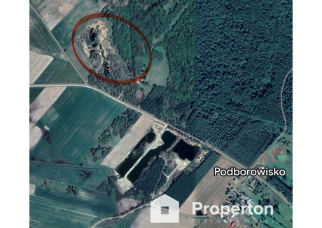 Działka na sprzedaż - Podborowisko, Narew, Hajnowski, 52 810 m², 499 000 PLN, NET-286/16208/OGS