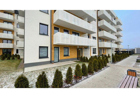 Mieszkanie na sprzedaż - Naramowice, Poznań-Stare Miasto, Poznań, 87,67 m², 965 000 PLN, NET-PZ670627