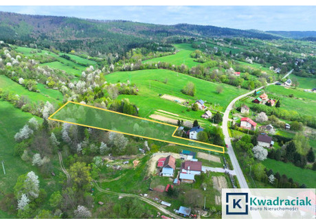 Działka na sprzedaż - Manasterzec, Lesko, Leski, 4025 m², 180 000 PLN, NET-KWA339741