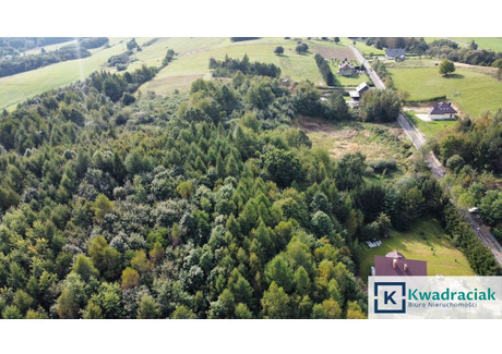 Działka na sprzedaż - Tarninowa Besko, Sanocki, 5008 m², 225 360 PLN, NET-KWA591396