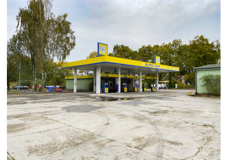 Lokal na sprzedaż - Maszewo, Goleniowski, 16 890 m², 4 700 000 PLN, NET-4/10981/OOS