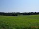 Rolny na sprzedaż - Racławówka, Boguchwała, Rzeszowski, 4300 m², 215 000 PLN, NET-73/13924/OGS