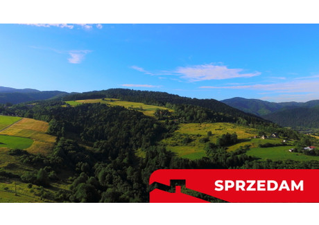 Działka na sprzedaż - Lubań Krościenko Nad Dunajcem, Nowotarski, 29 456 m², 4 200 000 PLN, NET-1456/13924/OGS