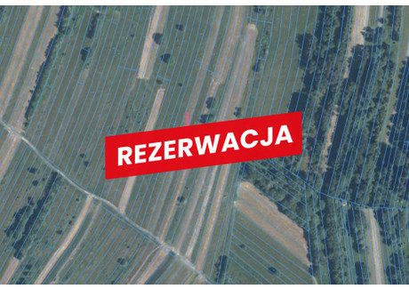 Działka na sprzedaż - Trybsz, Łapsze Niżne, Nowotarski, 1377 m², 19 900 PLN, NET-1245/13924/OGS