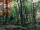 Leśne na sprzedaż - Pleśna, Tarnowski, 7400 m², 55 000 PLN, NET-94/13924/OGS