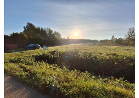 Działka na sprzedaż - Stany, Bojanów (Gm.), Stalowowolski (Pow.), 5000 m², 129 000 PLN, NET-366