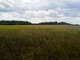 Rolny na sprzedaż - Łąski Piec, Śliwice, Tucholski, 33 600 m², 409 000 PLN, NET-188570
